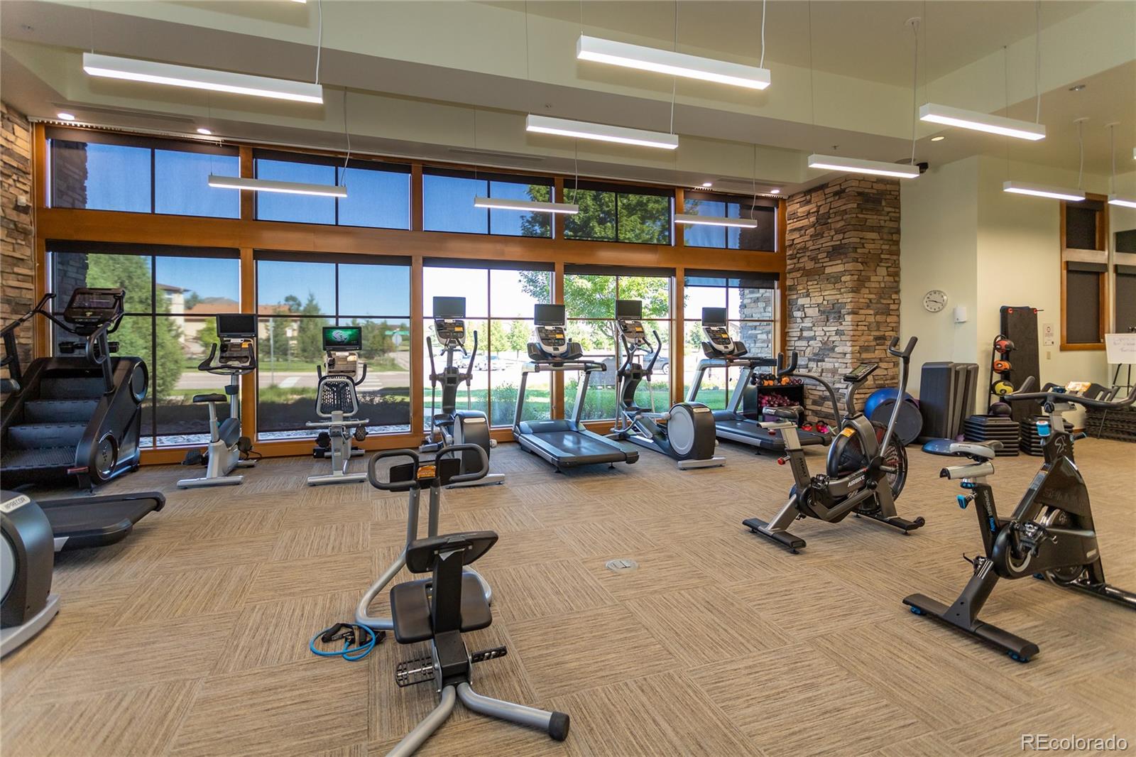 MLS Image #44 for 9534  feathergrass drive,colorado springs, Colorado
