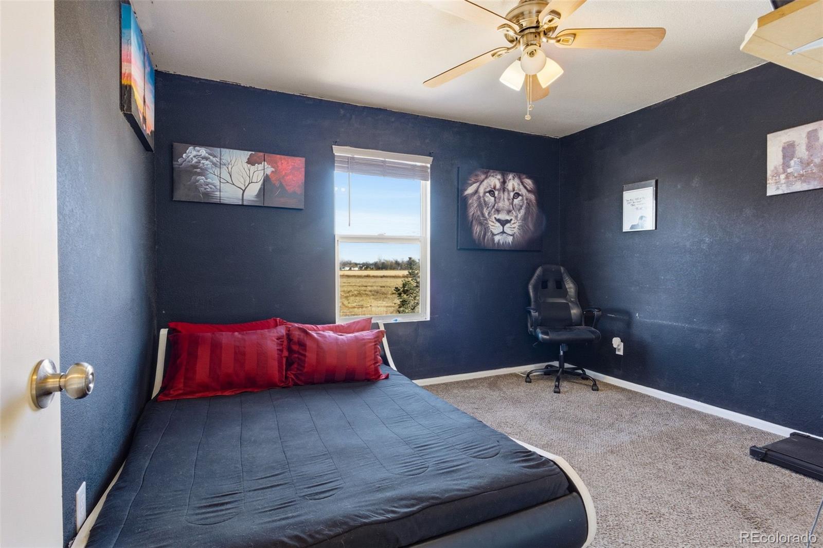 MLS Image #16 for 921 e 24th street road,greeley, Colorado