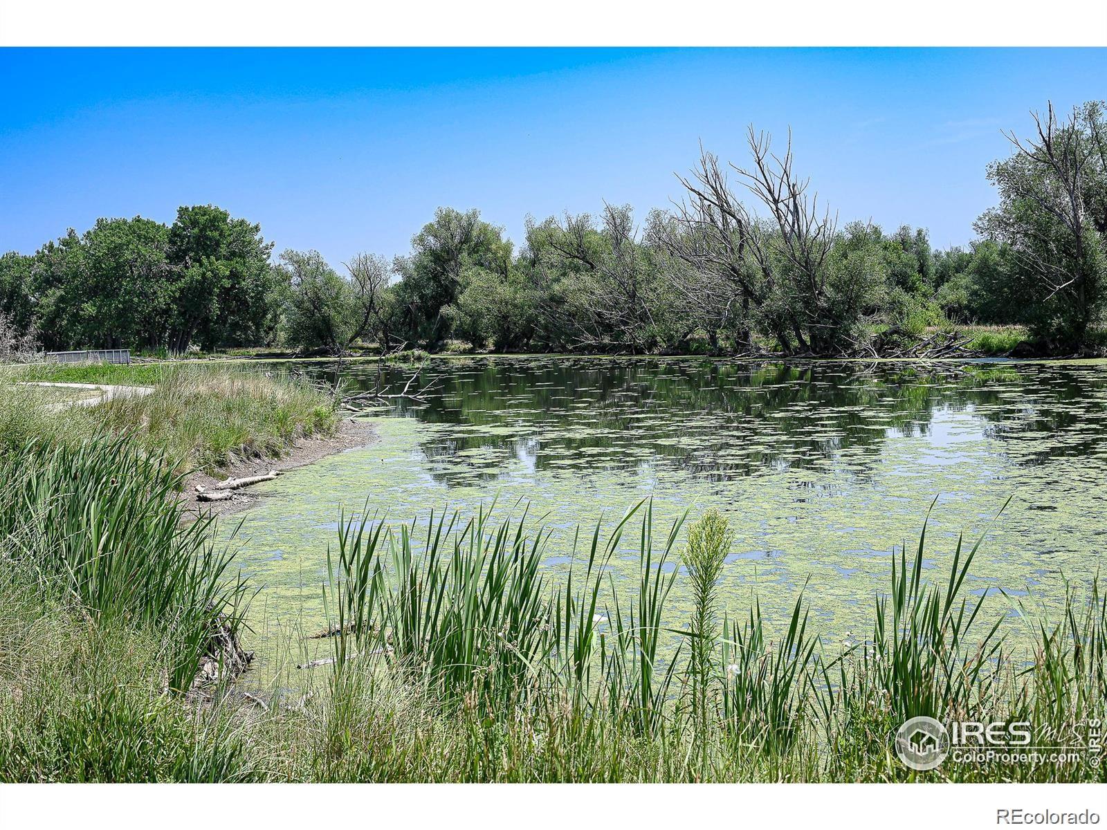 MLS Image #27 for 8775 w cornell avenue,lakewood, Colorado