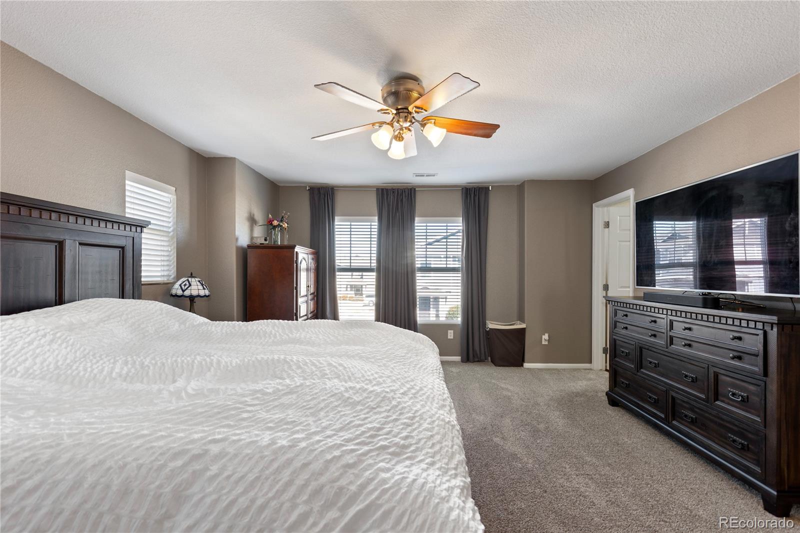 MLS Image #17 for 17254  lark water lane,parker, Colorado