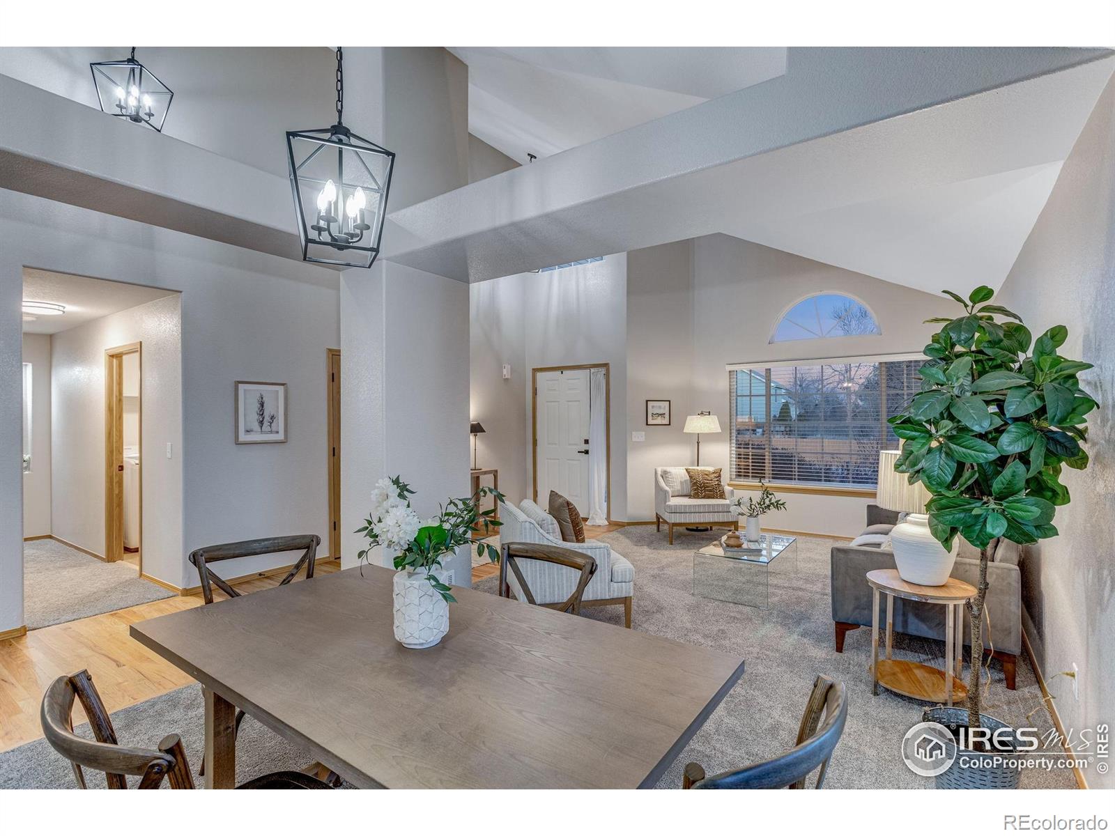 MLS Image #10 for 6839  hancock drive,fort collins, Colorado