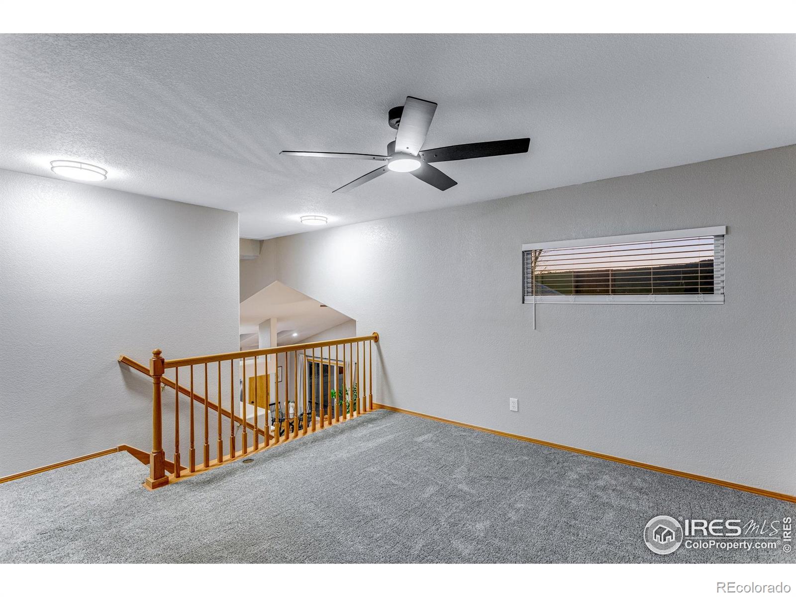 MLS Image #24 for 6839  hancock drive,fort collins, Colorado
