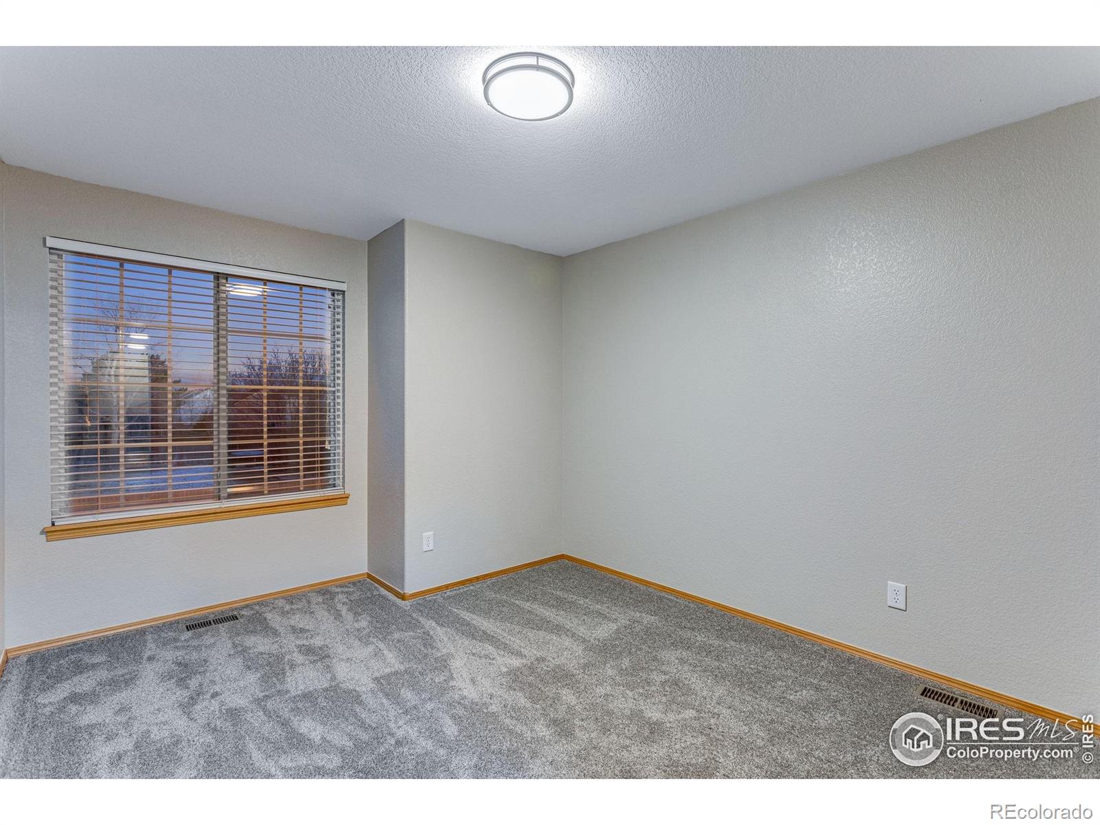 MLS Image #35 for 6839  hancock drive,fort collins, Colorado