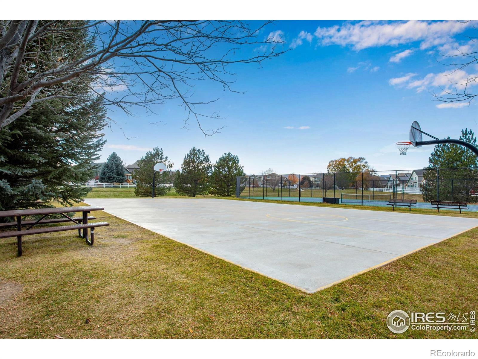 MLS Image #46 for 6839  hancock drive,fort collins, Colorado