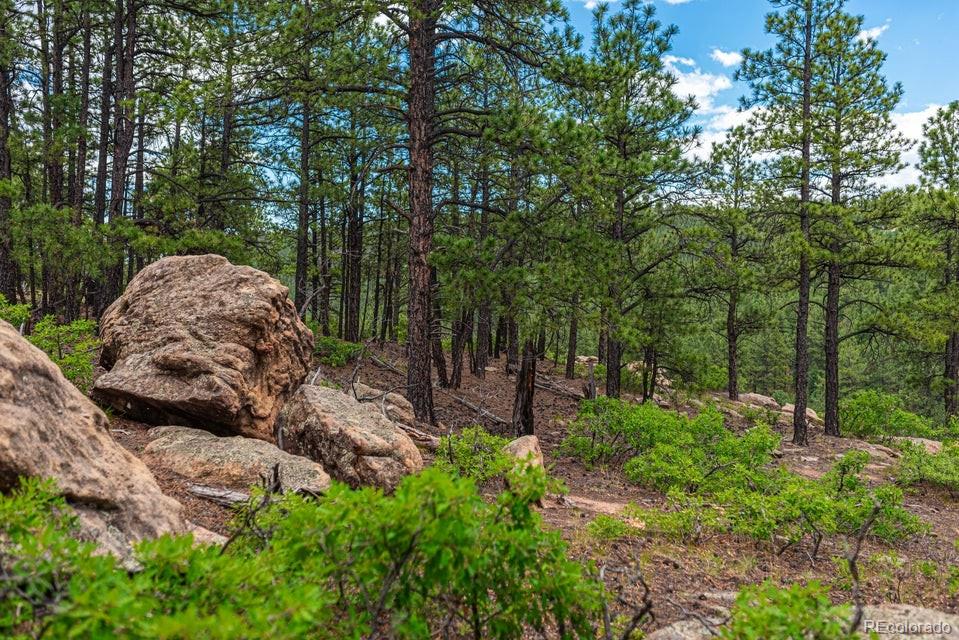 MLS Image #1 for 13250  mountain meadow trace,weston, Colorado