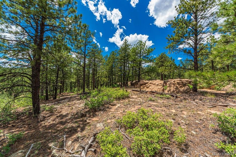 MLS Image #33 for 13250  mountain meadow trace,weston, Colorado