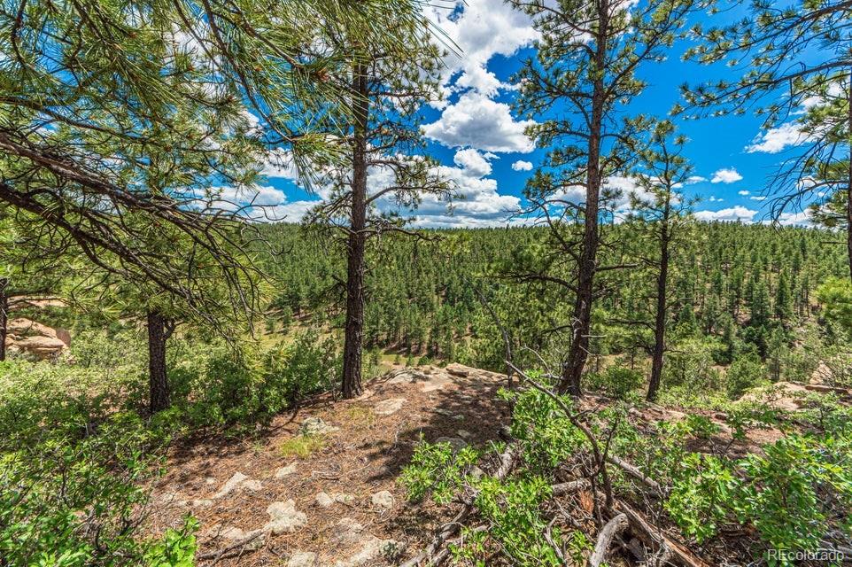 MLS Image #34 for 13250  mountain meadow trace,weston, Colorado
