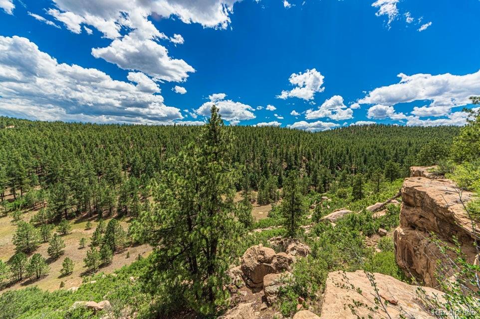 MLS Image #36 for 13250  mountain meadow trace,weston, Colorado