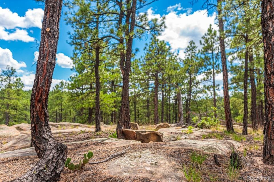 MLS Image #42 for 13250  mountain meadow trace,weston, Colorado