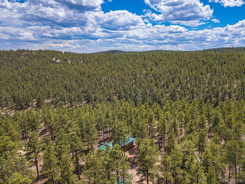 MLS Image #45 for 13250  mountain meadow trace,weston, Colorado