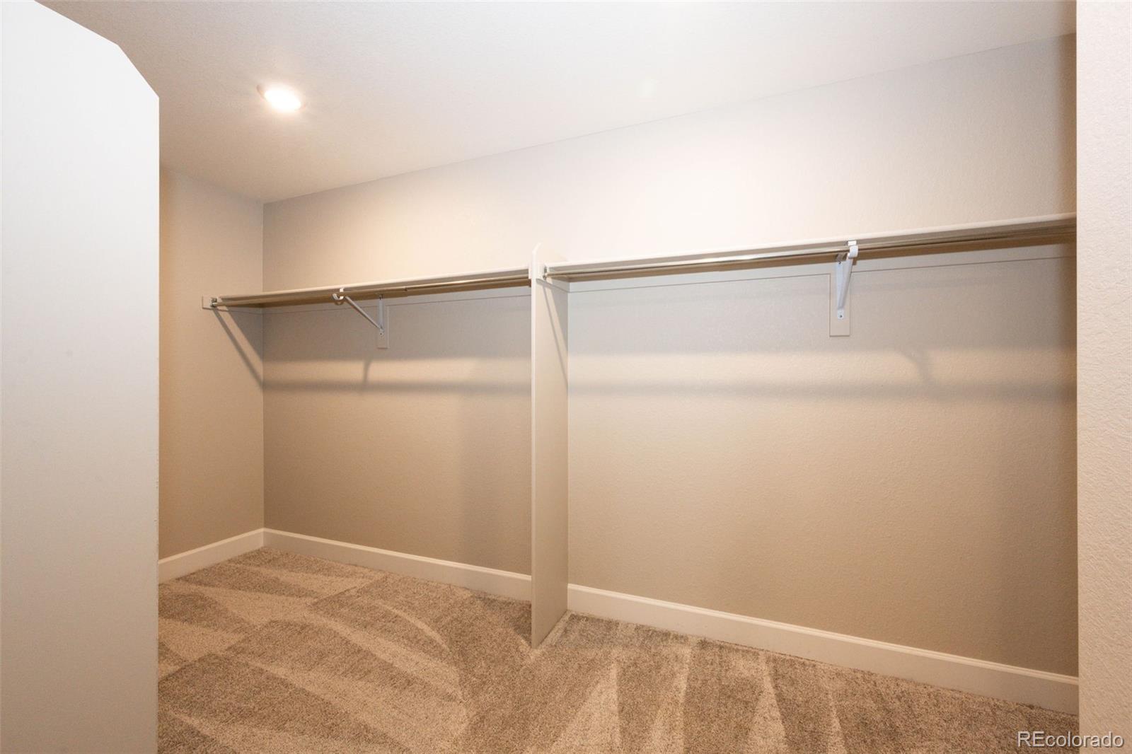 MLS Image #29 for 379  silver rock trail,castle rock, Colorado