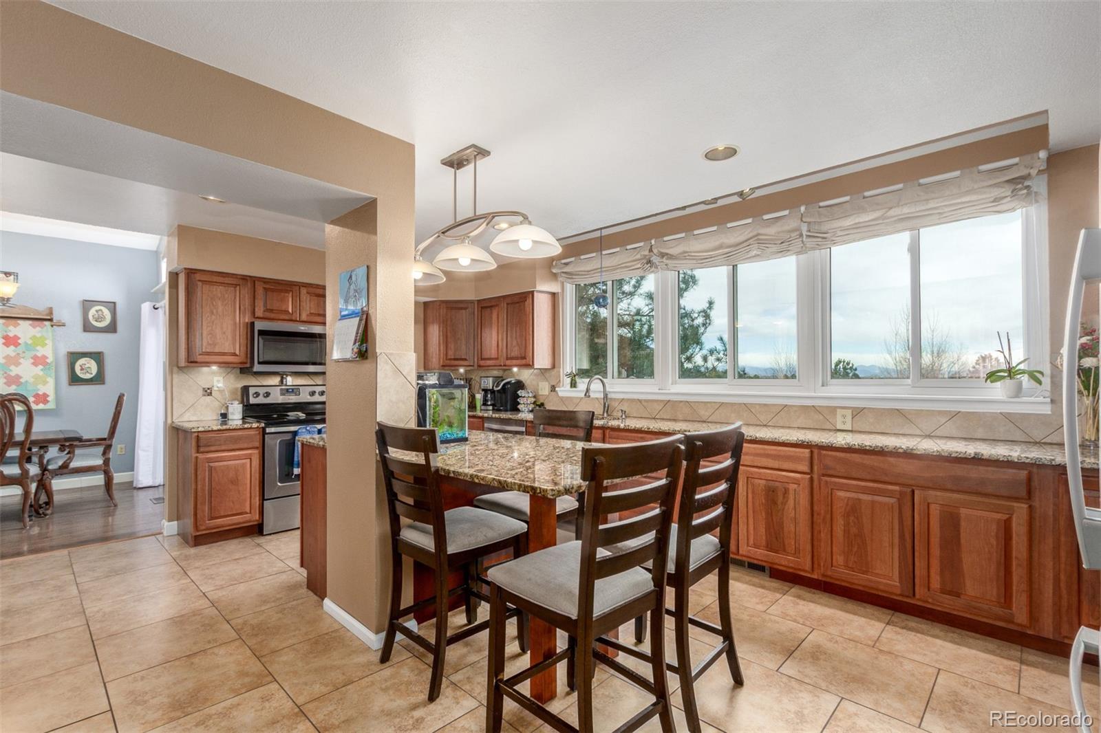 MLS Image #9 for 10895  omaha lane,parker, Colorado
