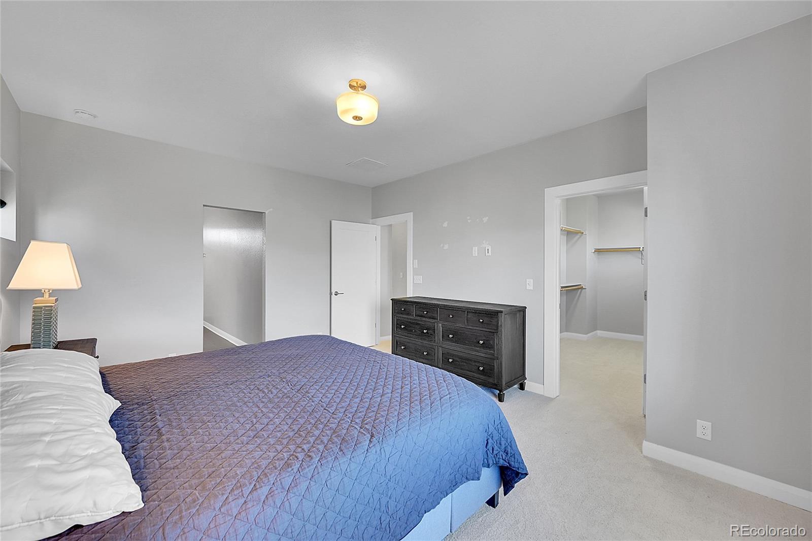 MLS Image #13 for 6632  osage street,denver, Colorado