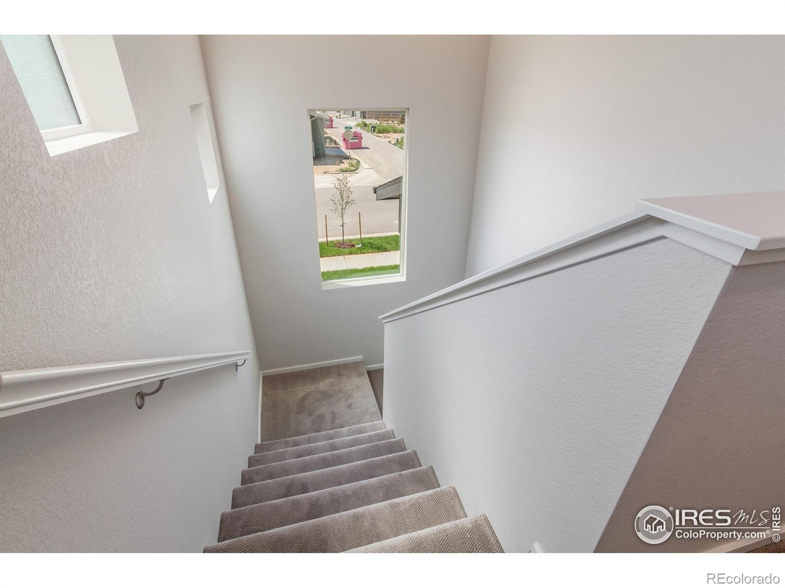 MLS Image #17 for 6116  dutch drive,timnath, Colorado