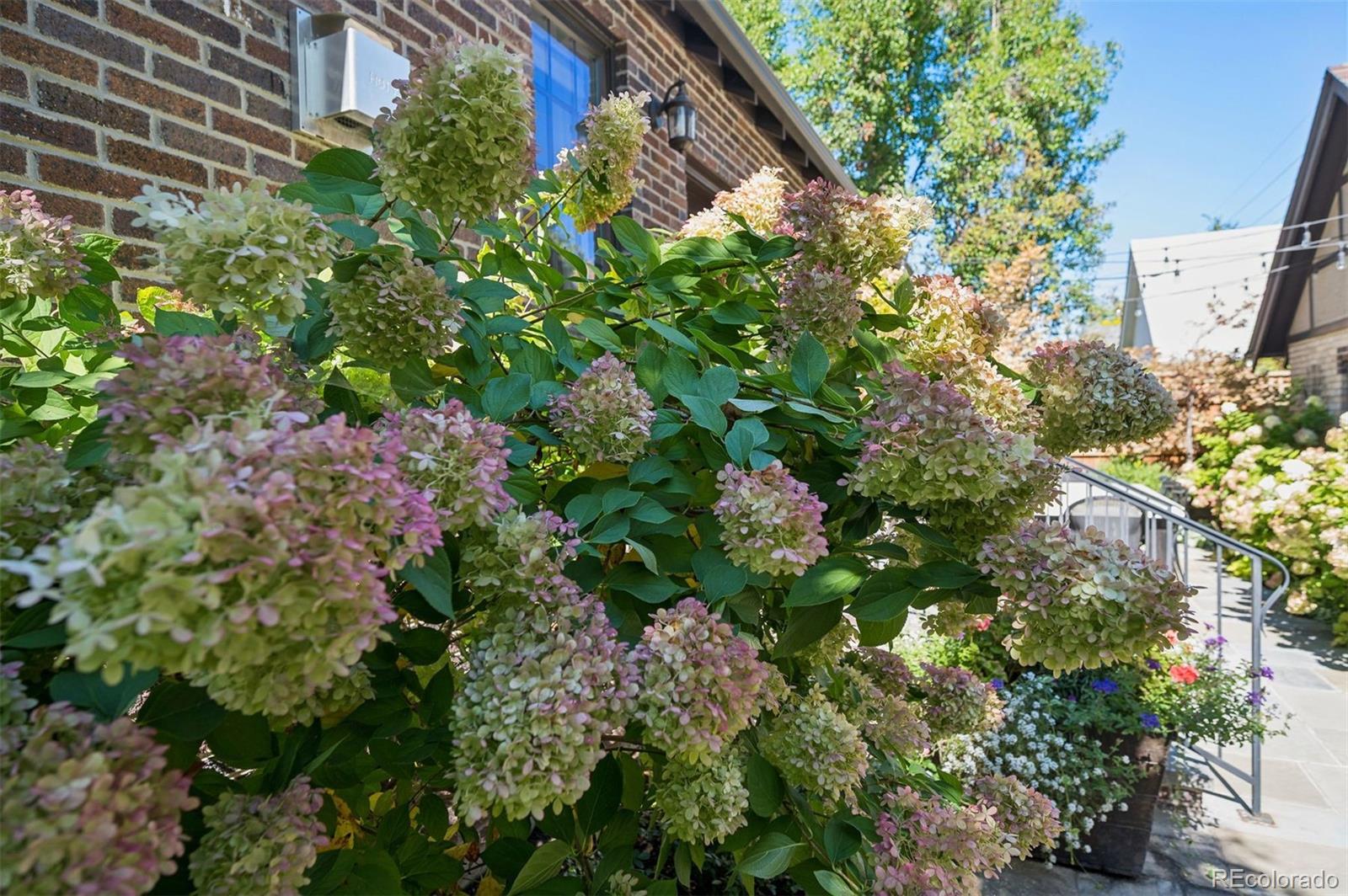 MLS Image #30 for 340 s race street,denver, Colorado