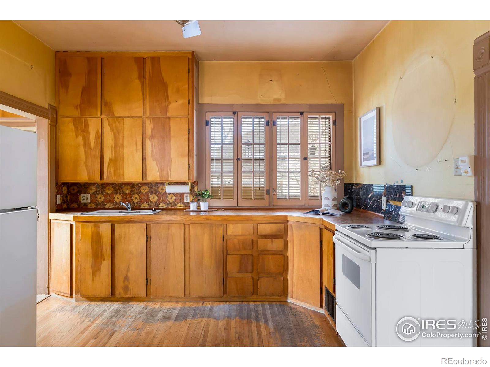 MLS Image #11 for 521  whedbee street,fort collins, Colorado