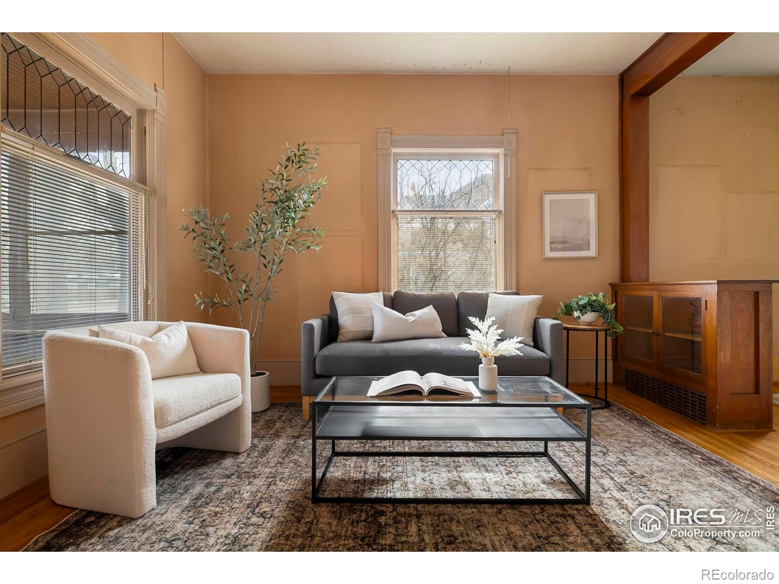 MLS Image #6 for 521  whedbee street,fort collins, Colorado