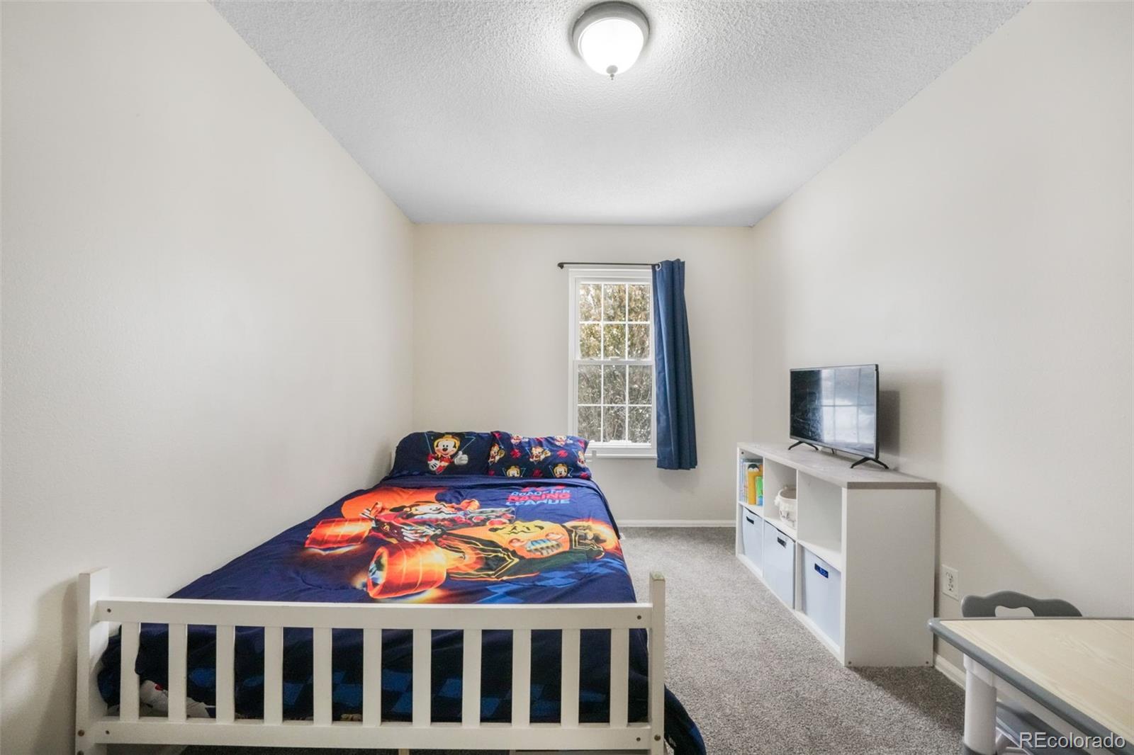 MLS Image #38 for 4651  newton drive,colorado springs, Colorado
