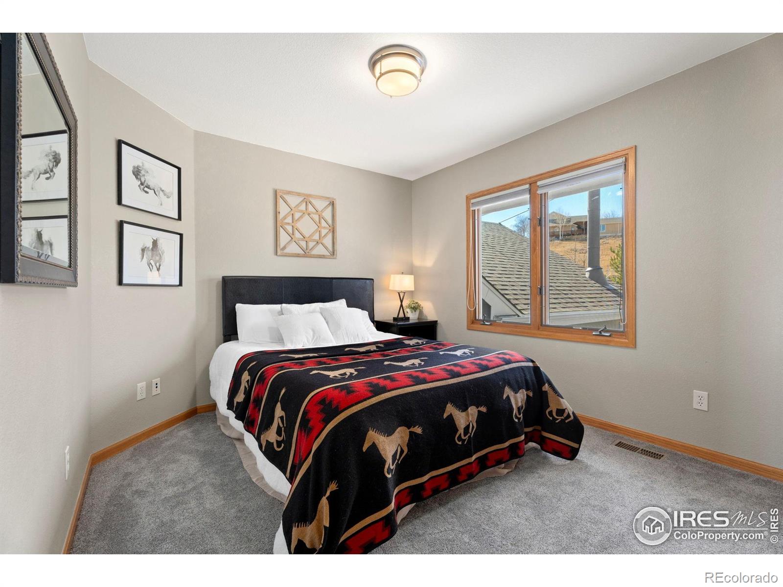 MLS Image #27 for 2508  doolittle court,fort collins, Colorado