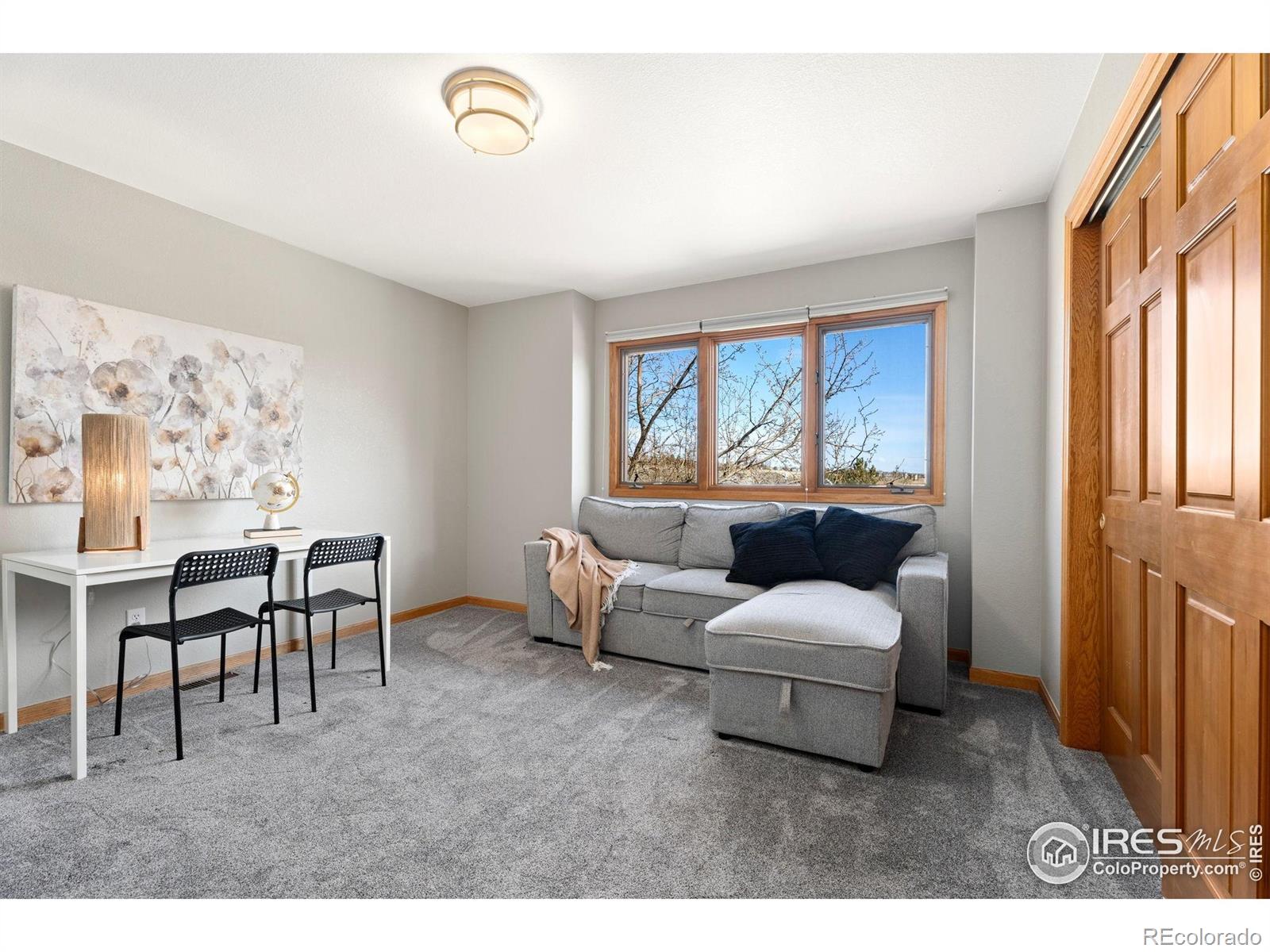 MLS Image #31 for 2508  doolittle court,fort collins, Colorado
