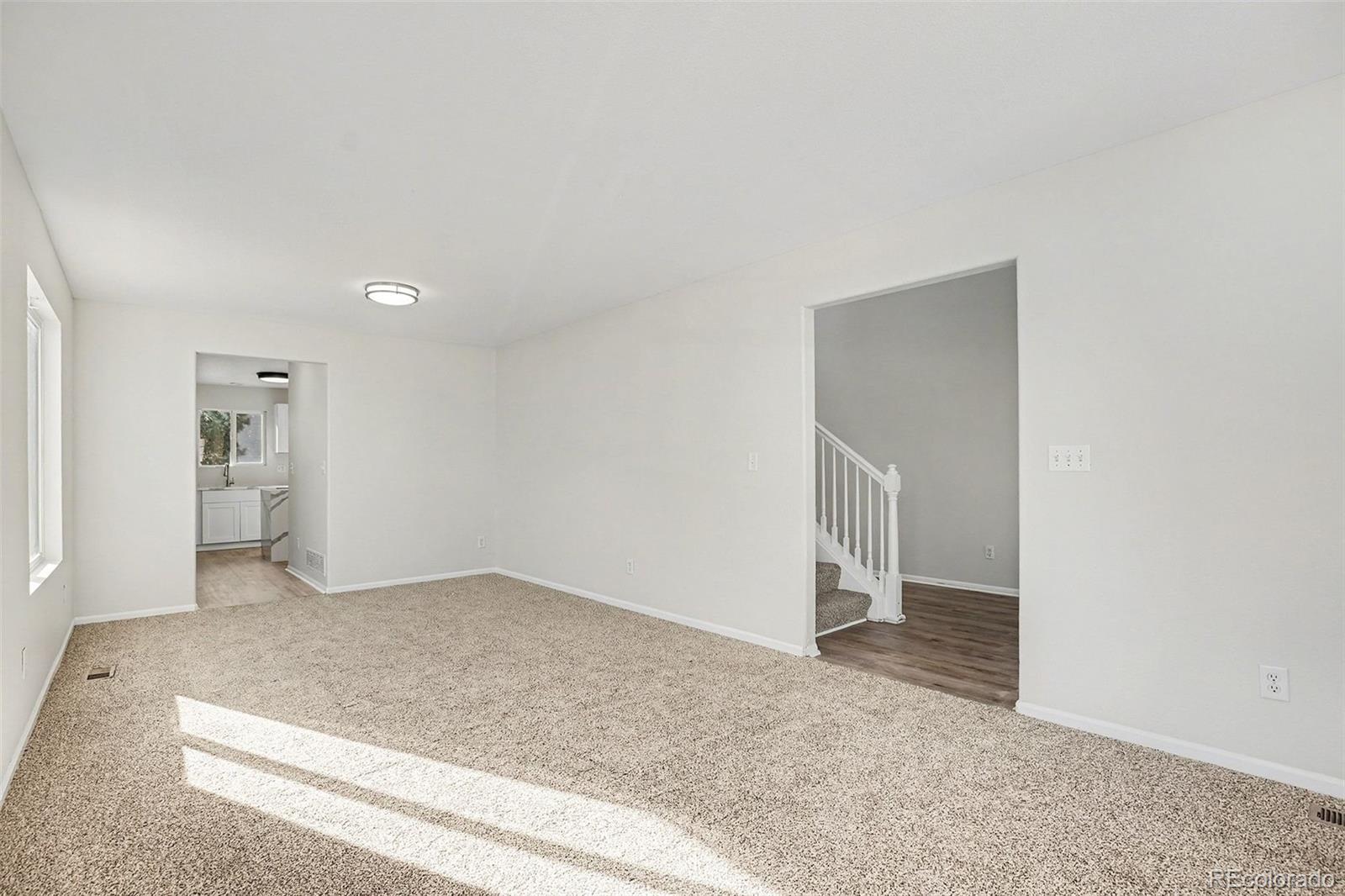 MLS Image #13 for 4828  mt cameron drive,brighton, Colorado