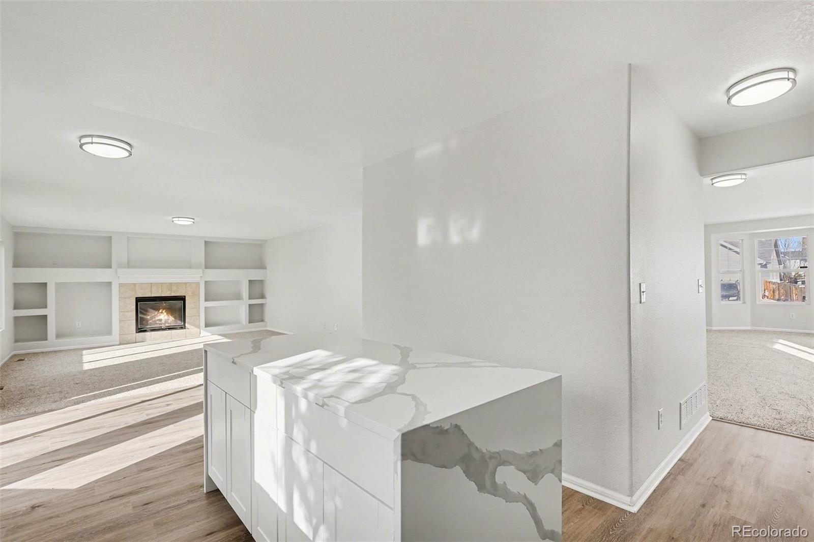 MLS Image #5 for 4828  mt cameron drive,brighton, Colorado