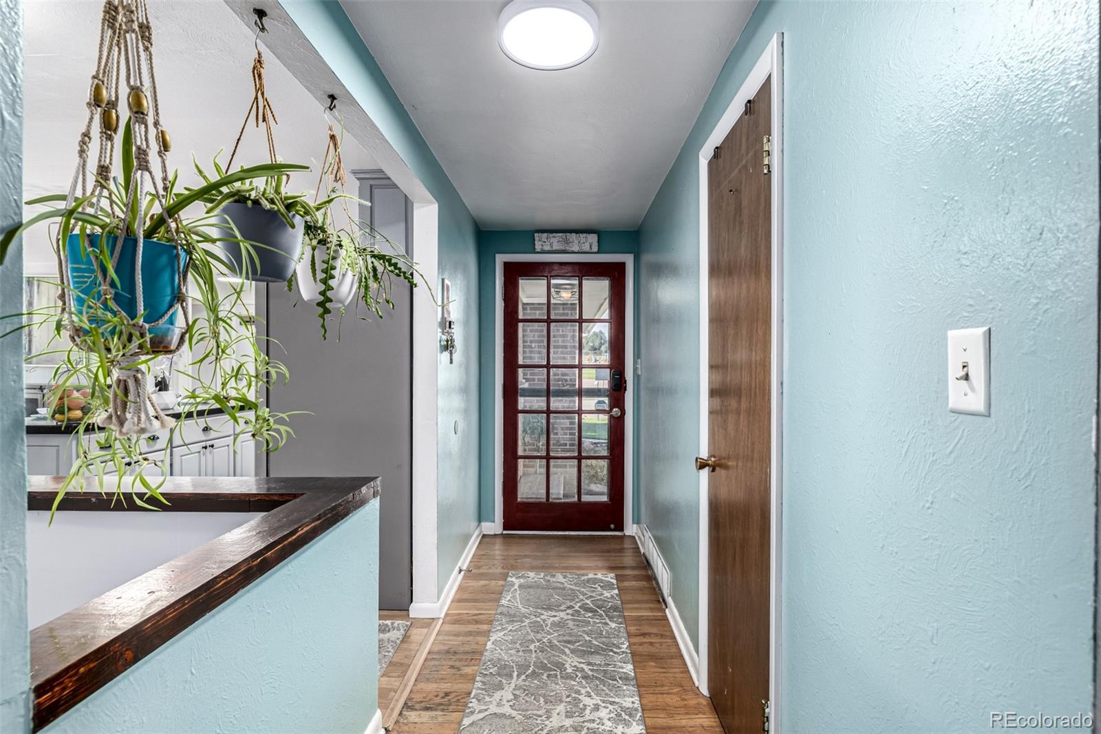 MLS Image #4 for 2450  miller ,lakewood, Colorado