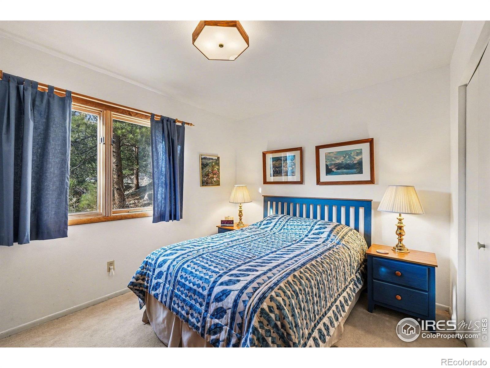MLS Image #11 for 128  pinebrook drive,glen haven, Colorado
