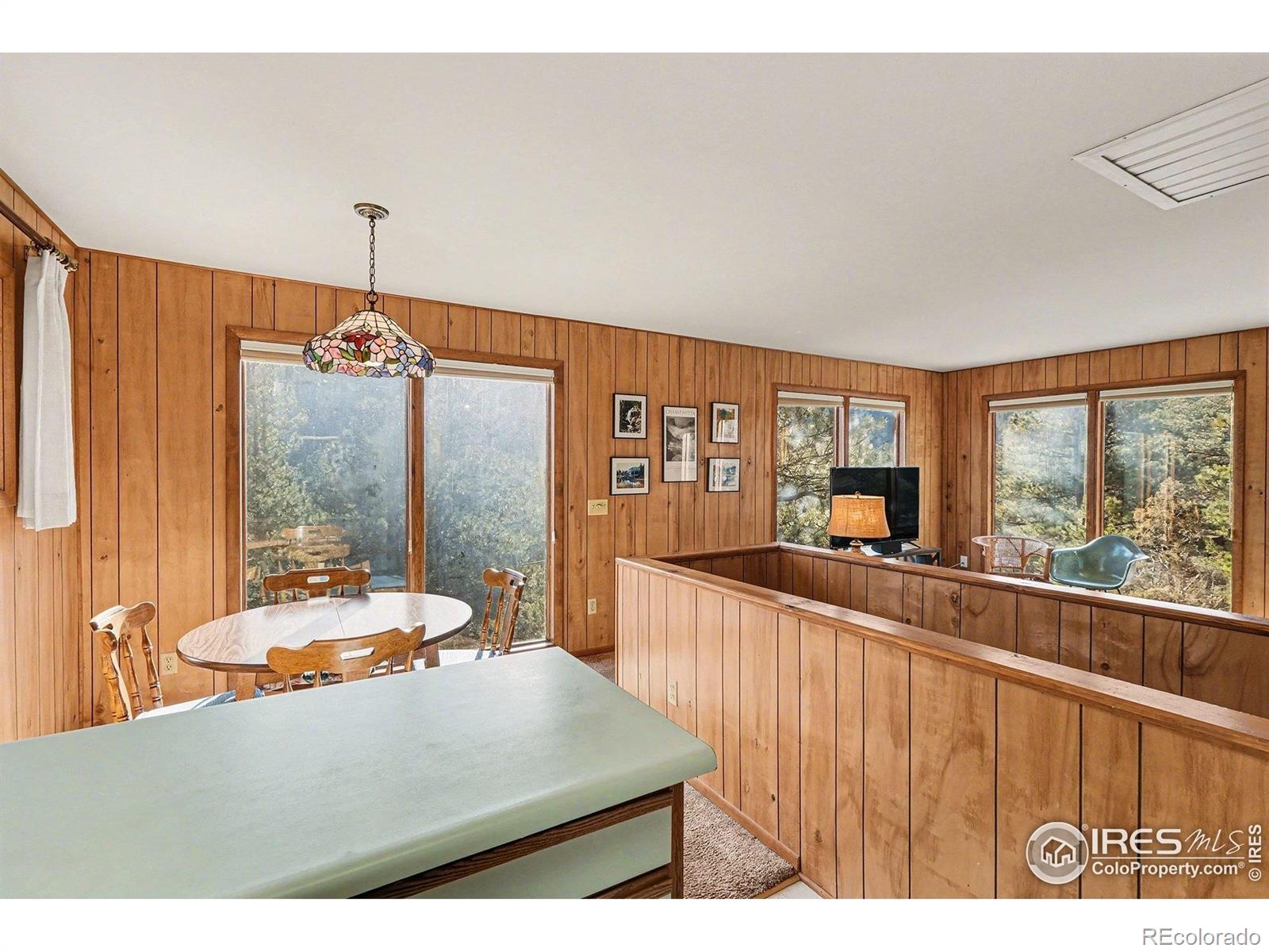 MLS Image #9 for 128  pinebrook drive,glen haven, Colorado