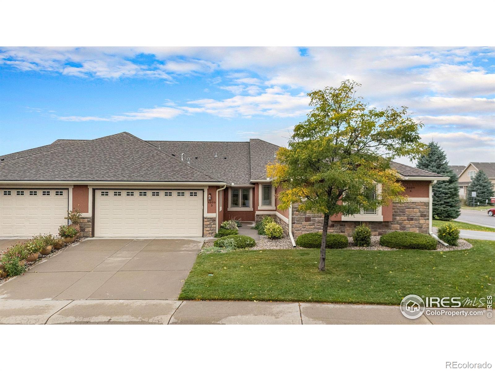 MLS Image #4 for 4609  dusty sage drive,fort collins, Colorado