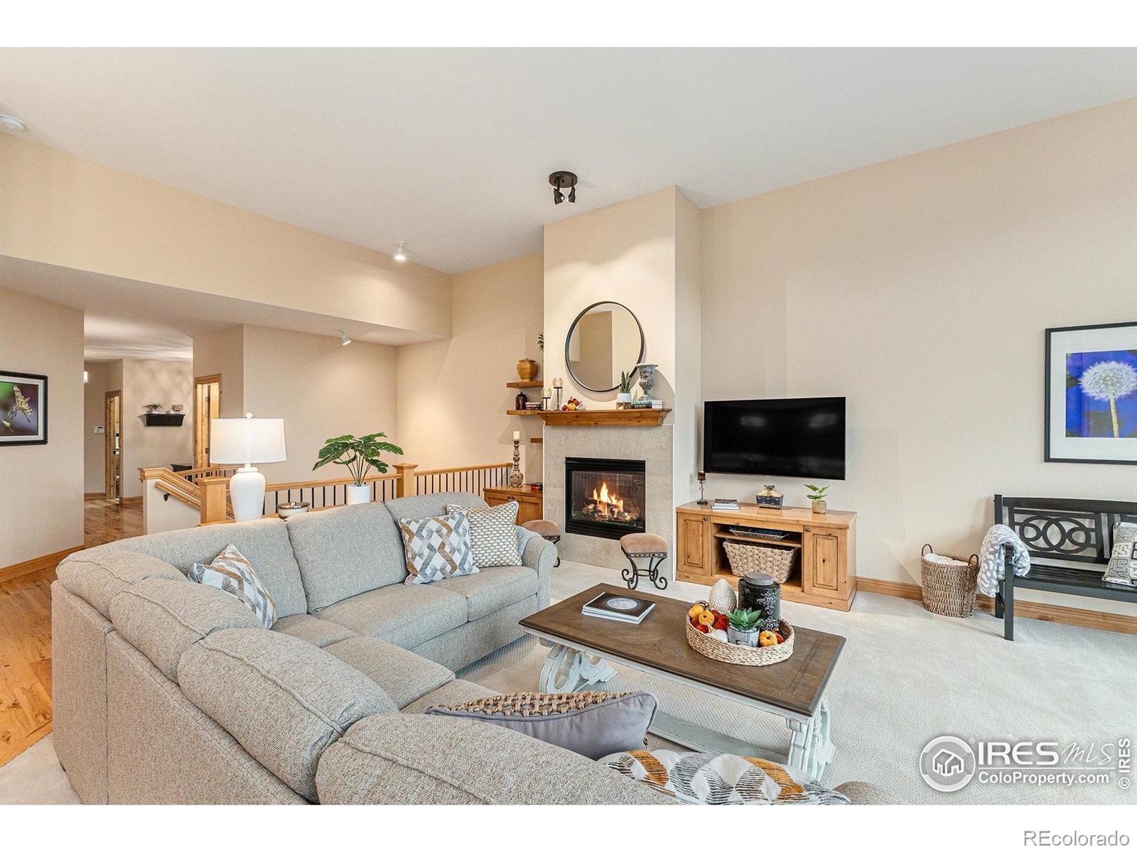 MLS Image #7 for 4609  dusty sage drive,fort collins, Colorado