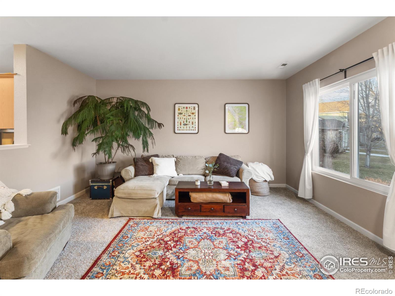 MLS Image #1 for 6118  shamrock circle,frederick, Colorado