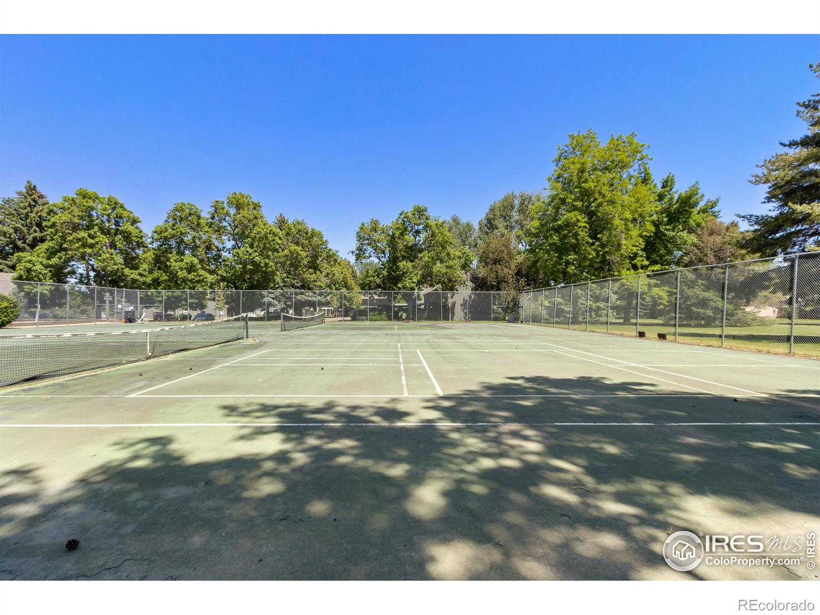 MLS Image #16 for 705 e drake road,fort collins, Colorado