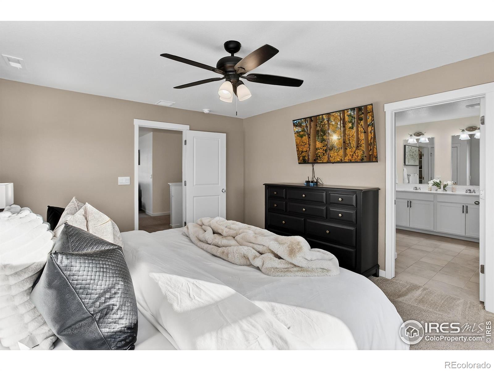 MLS Image #27 for 13409  wabash street,thornton, Colorado