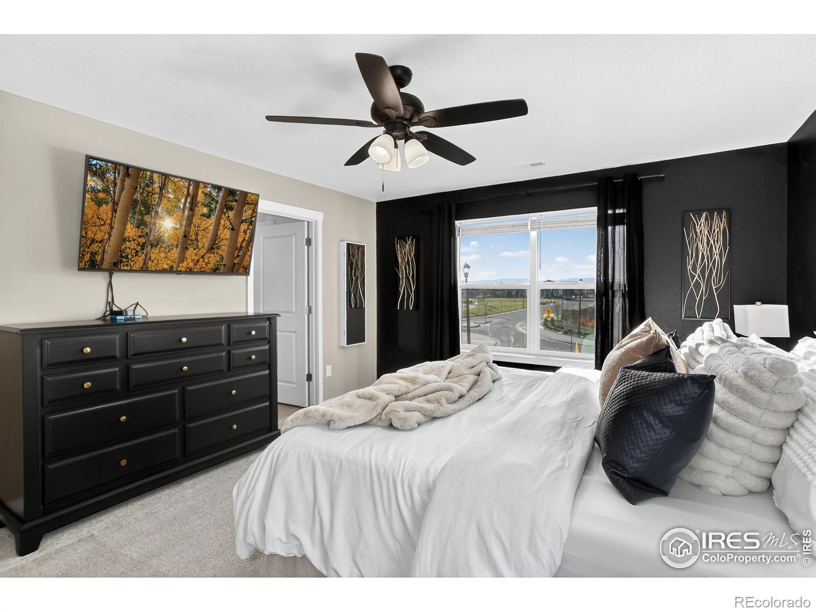 MLS Image #30 for 13409  wabash street,thornton, Colorado