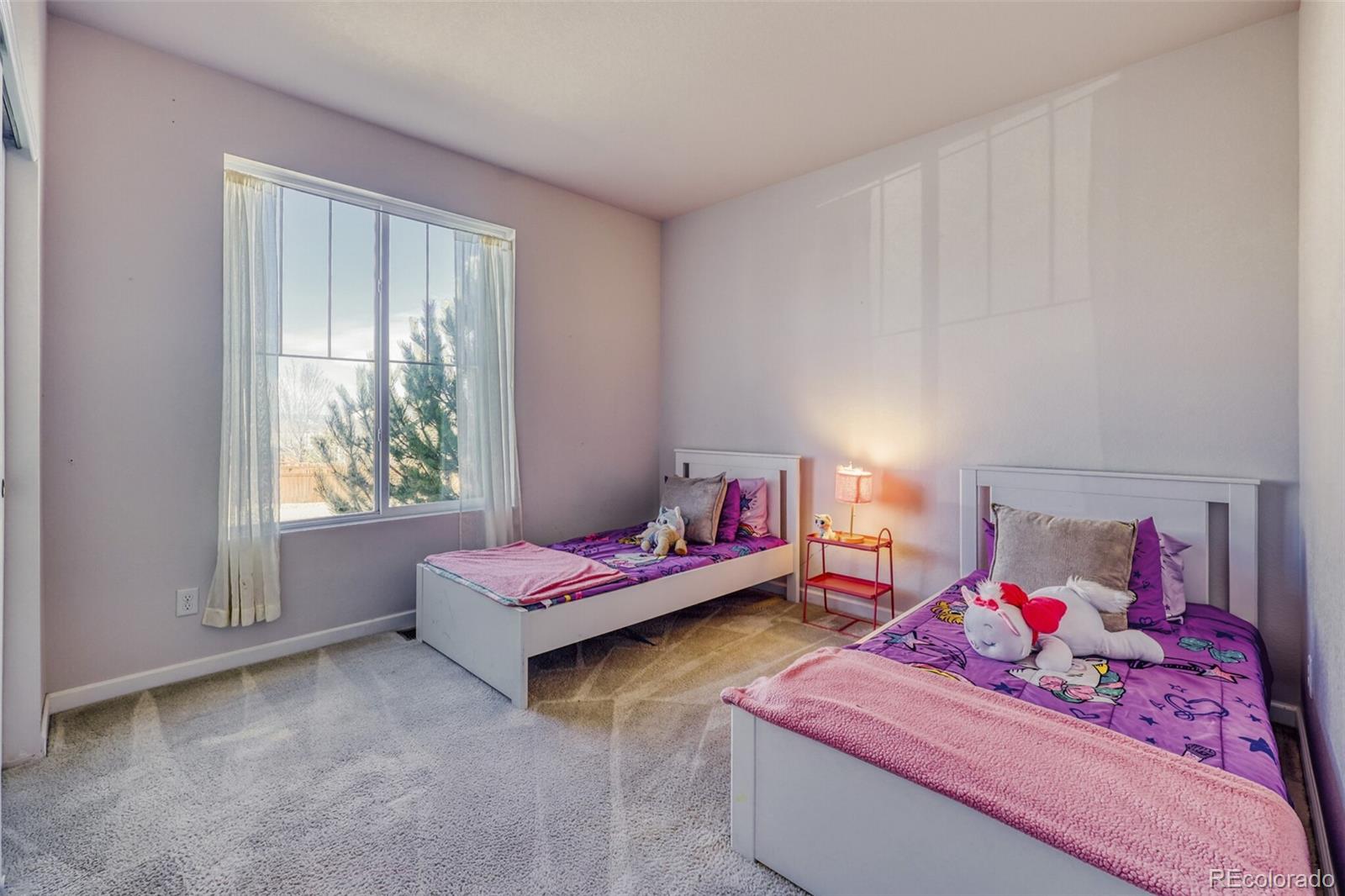 MLS Image #17 for 3303  starry night loop,castle rock, Colorado