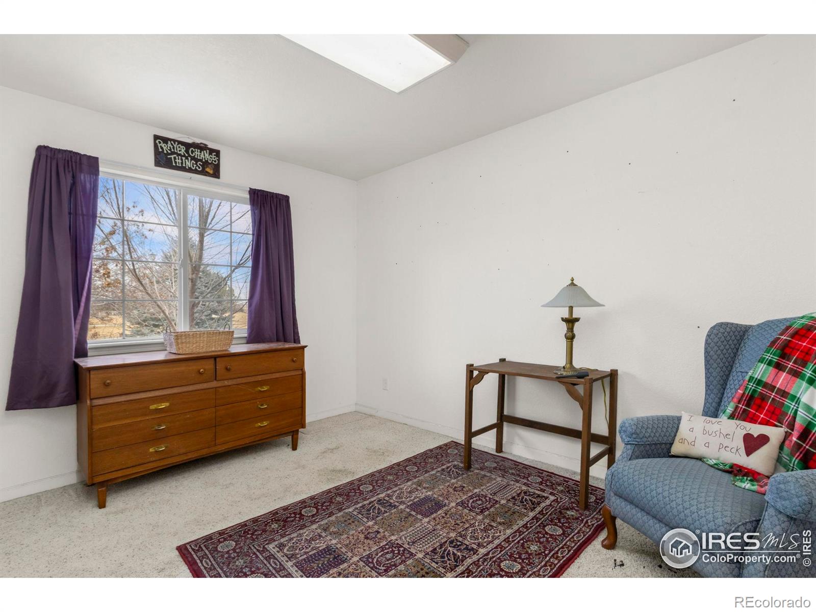 MLS Image #9 for 105  blue spruce drive,severance, Colorado