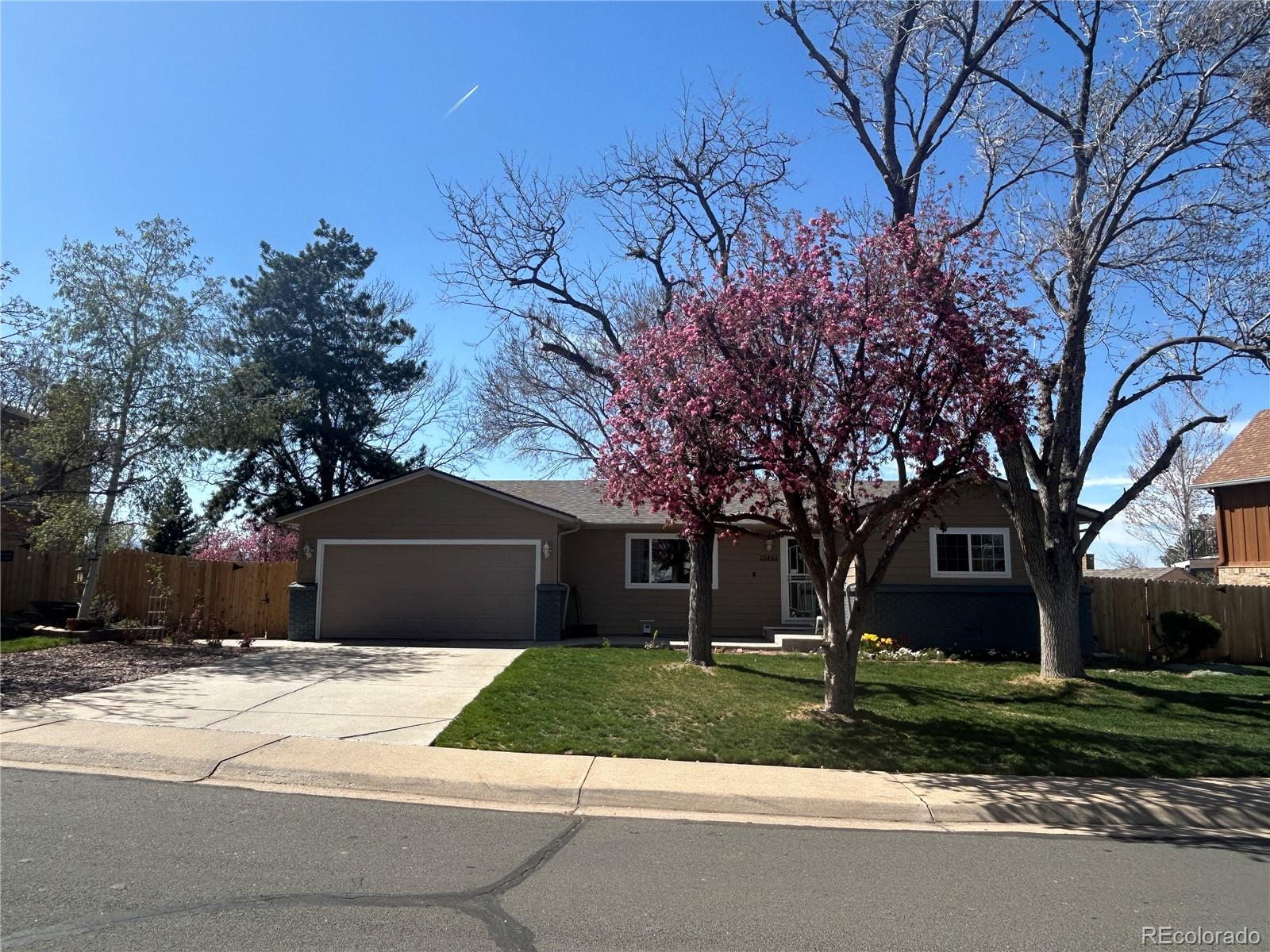 MLS Image #2 for 10443  king street,westminster, Colorado