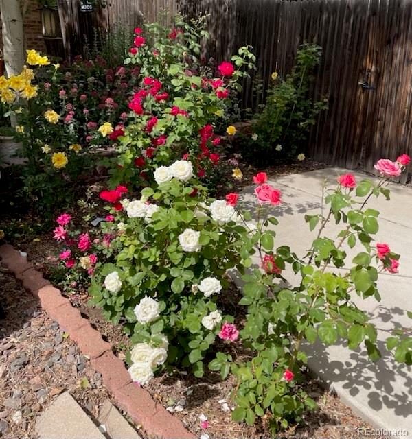 MLS Image #29 for 10443  king street,westminster, Colorado