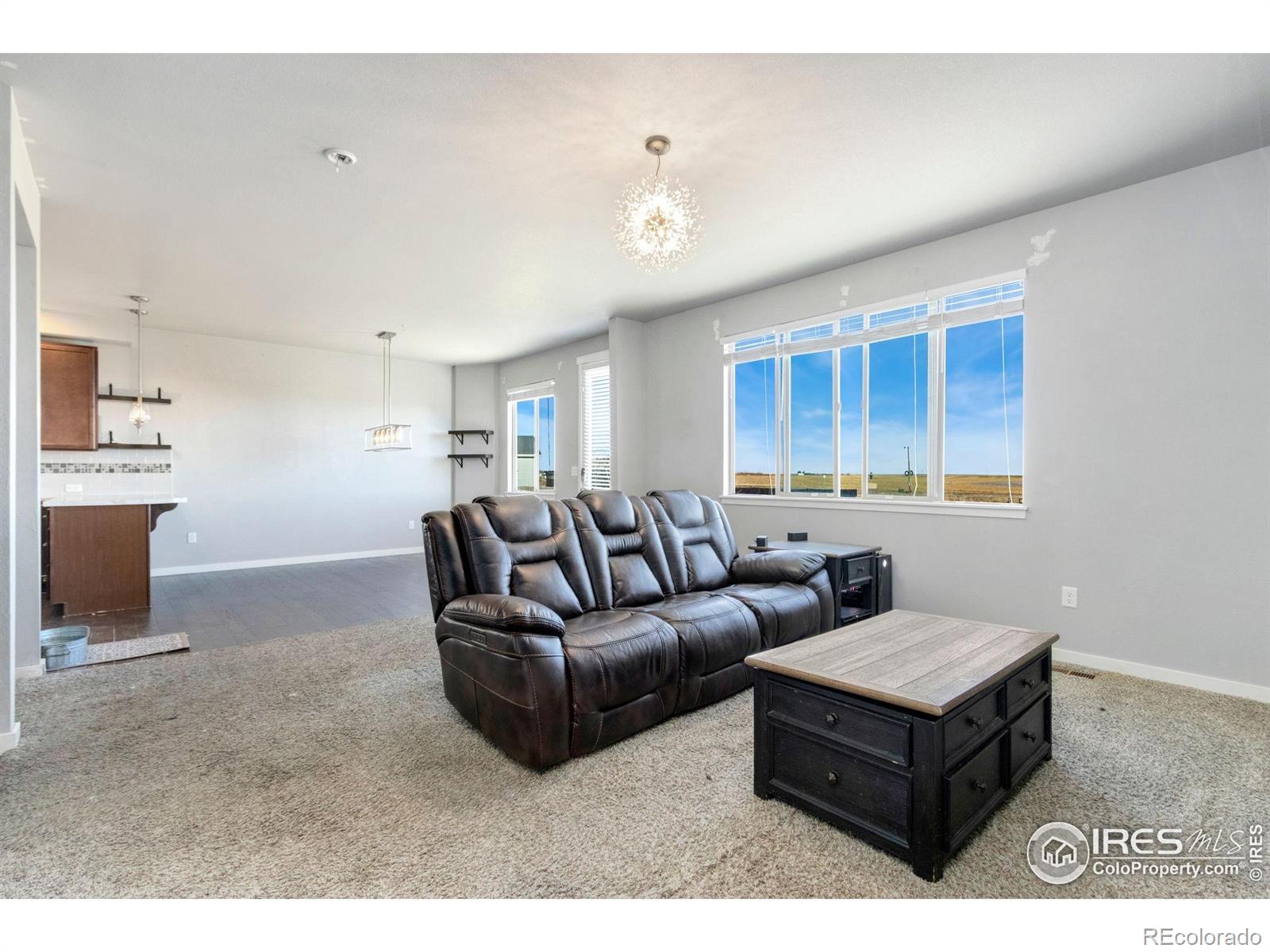 MLS Image #4 for 101  primrose court,wiggins, Colorado