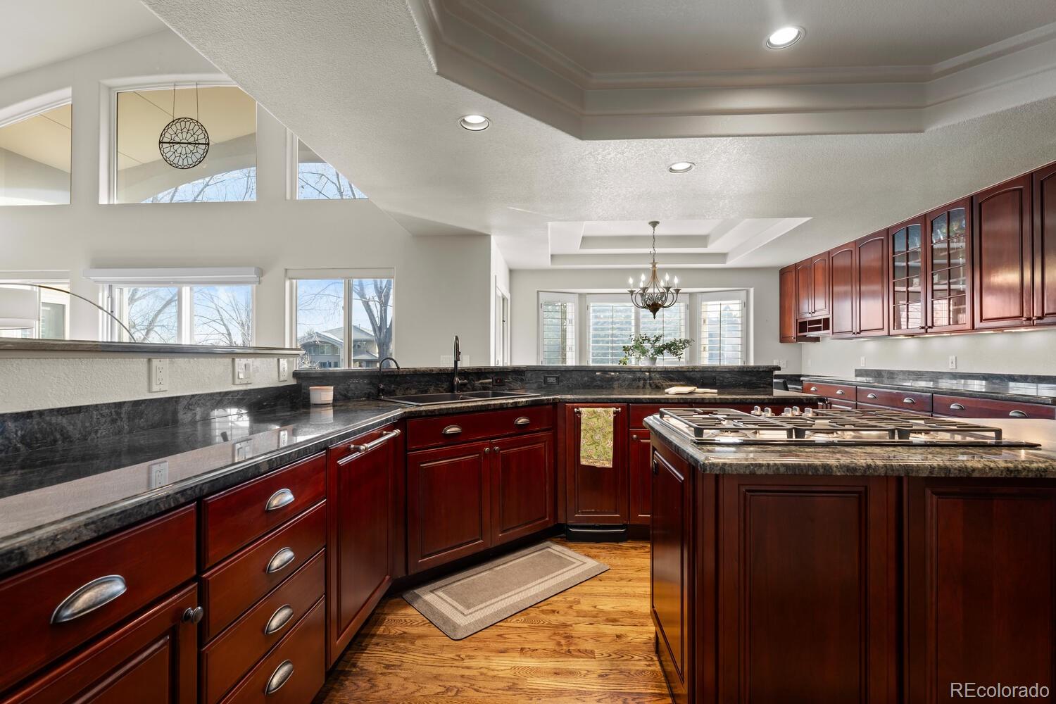 MLS Image #10 for 8  canon circle,greenwood village, Colorado