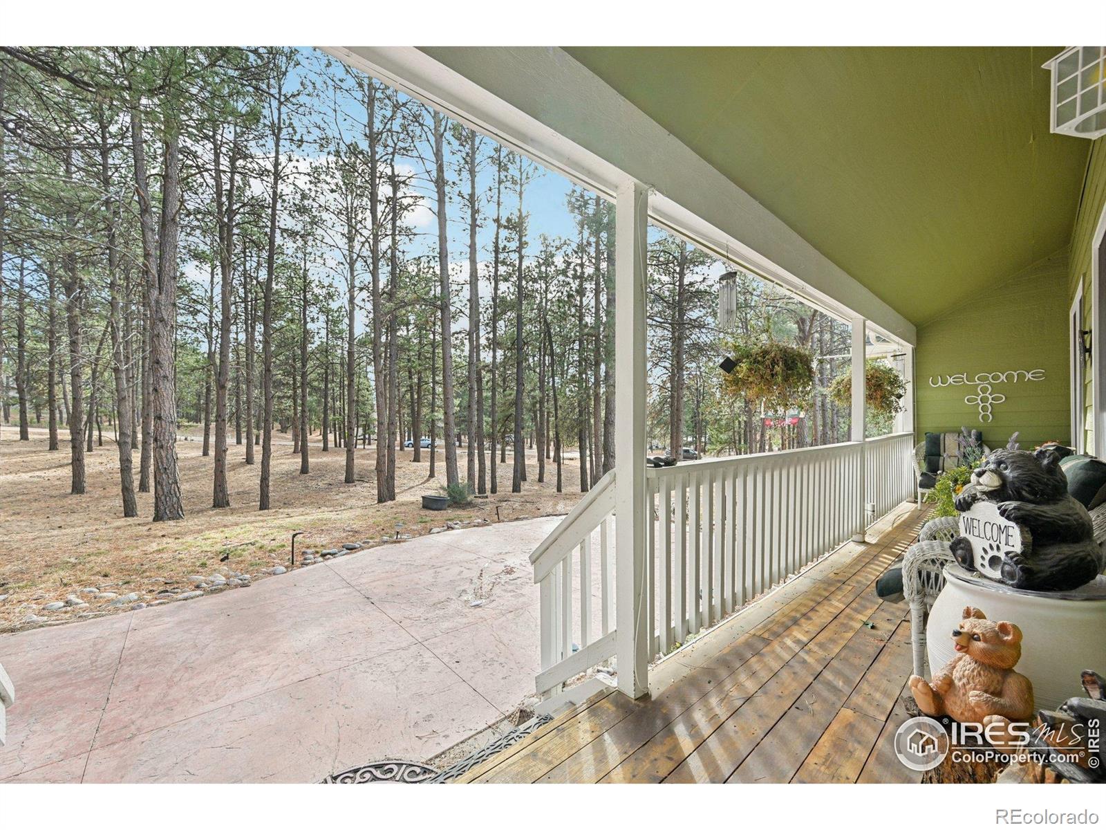 MLS Image #10 for 4673  pinon drive,elizabeth, Colorado