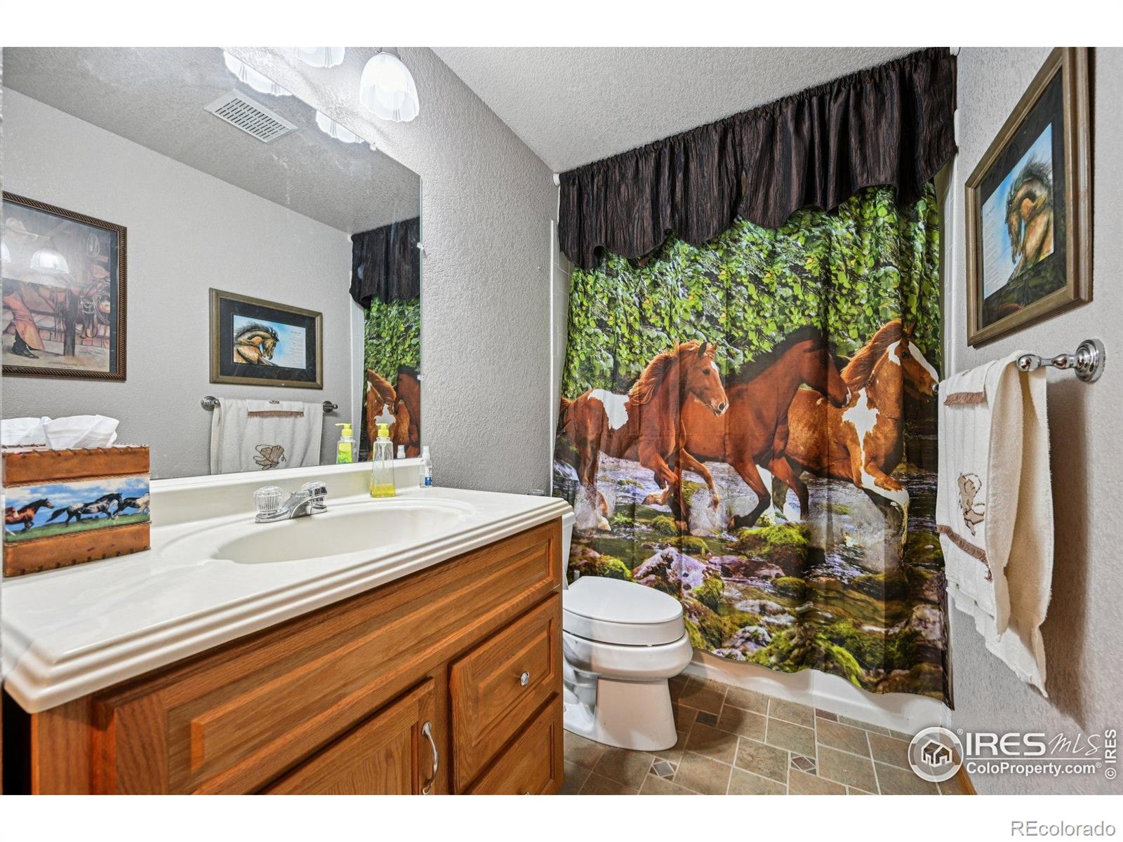 MLS Image #38 for 4673  pinon drive,elizabeth, Colorado