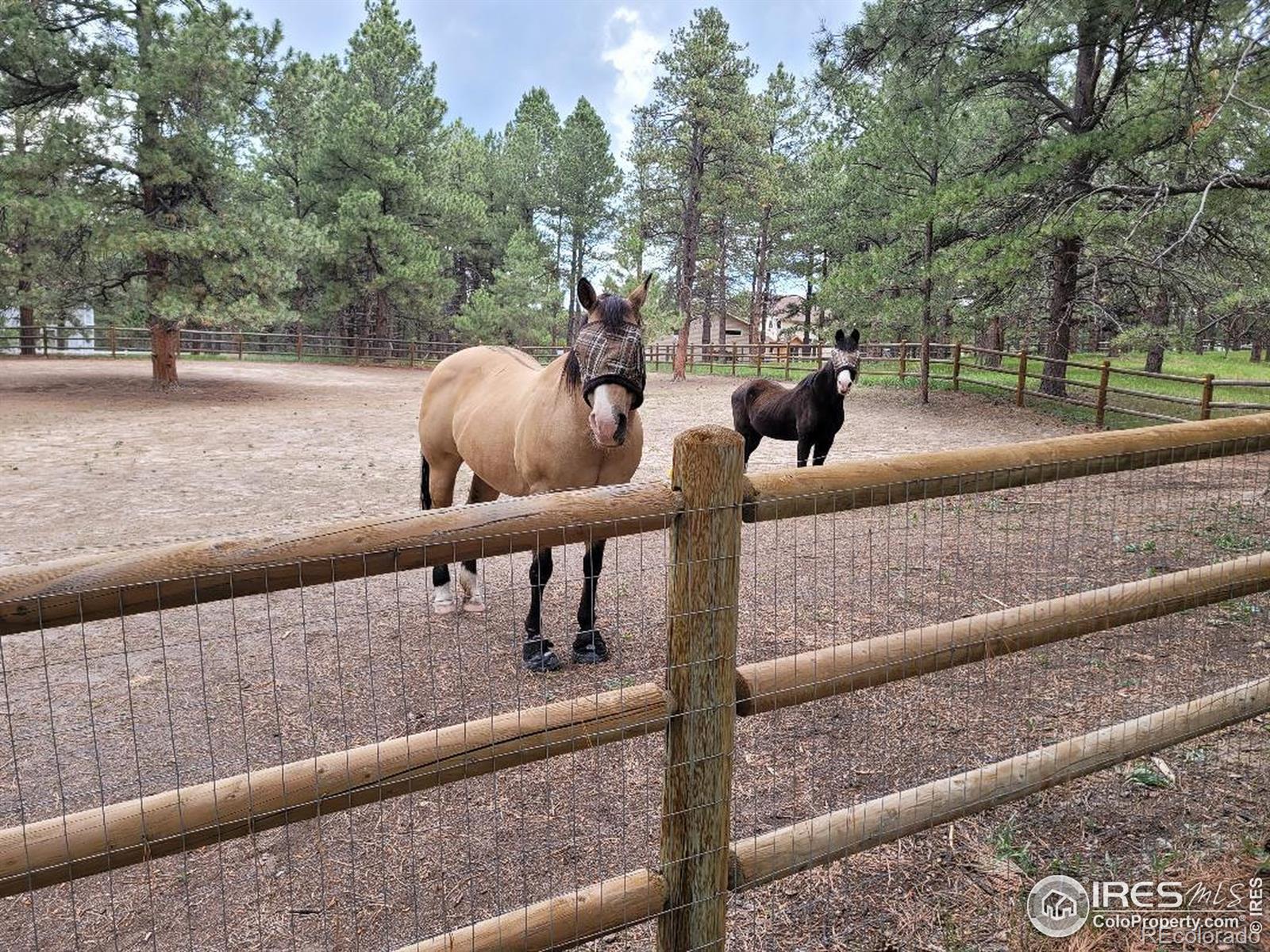 MLS Image #8 for 4673  pinon drive,elizabeth, Colorado