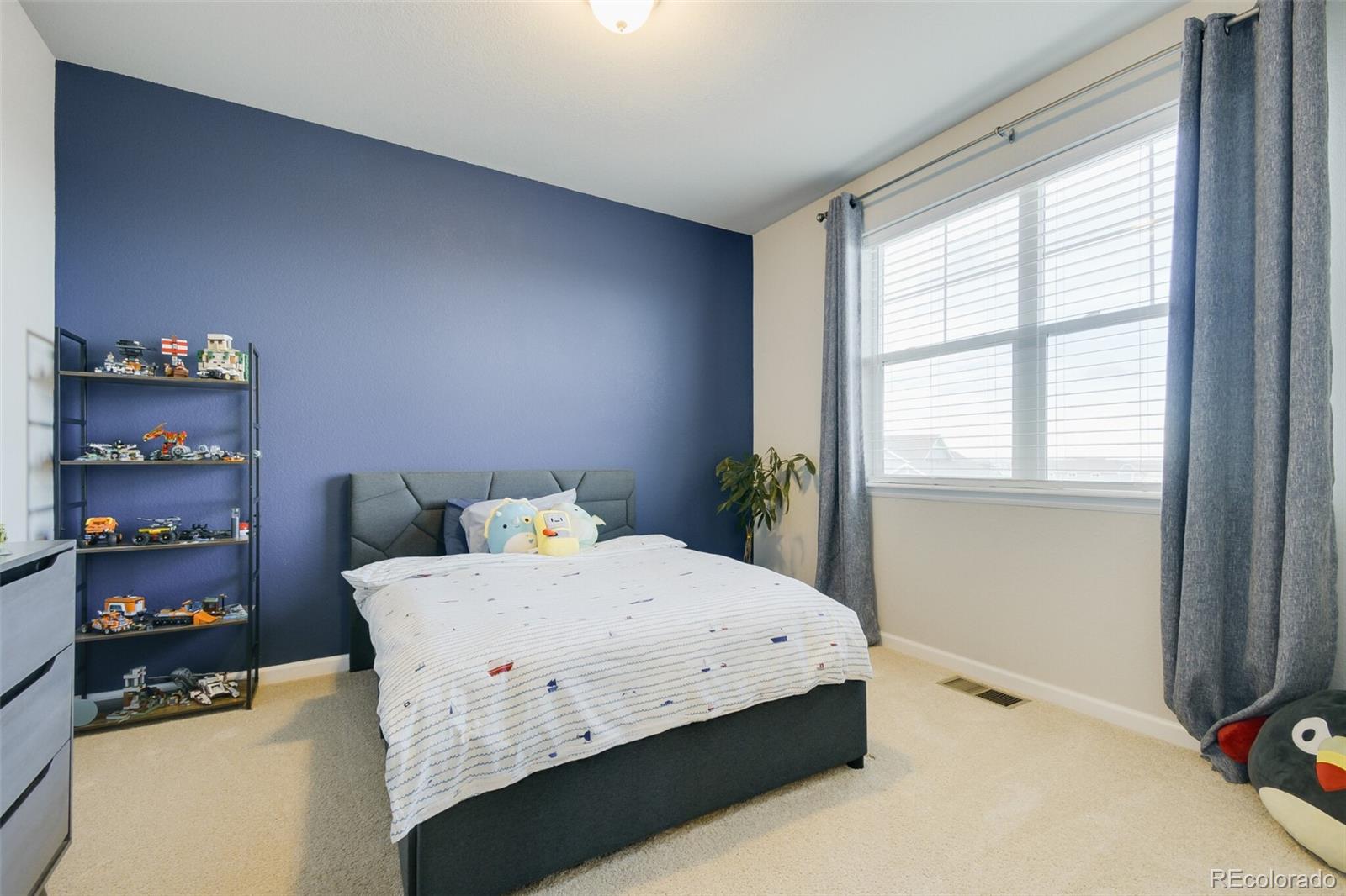 MLS Image #16 for 10170  160th place,brighton, Colorado