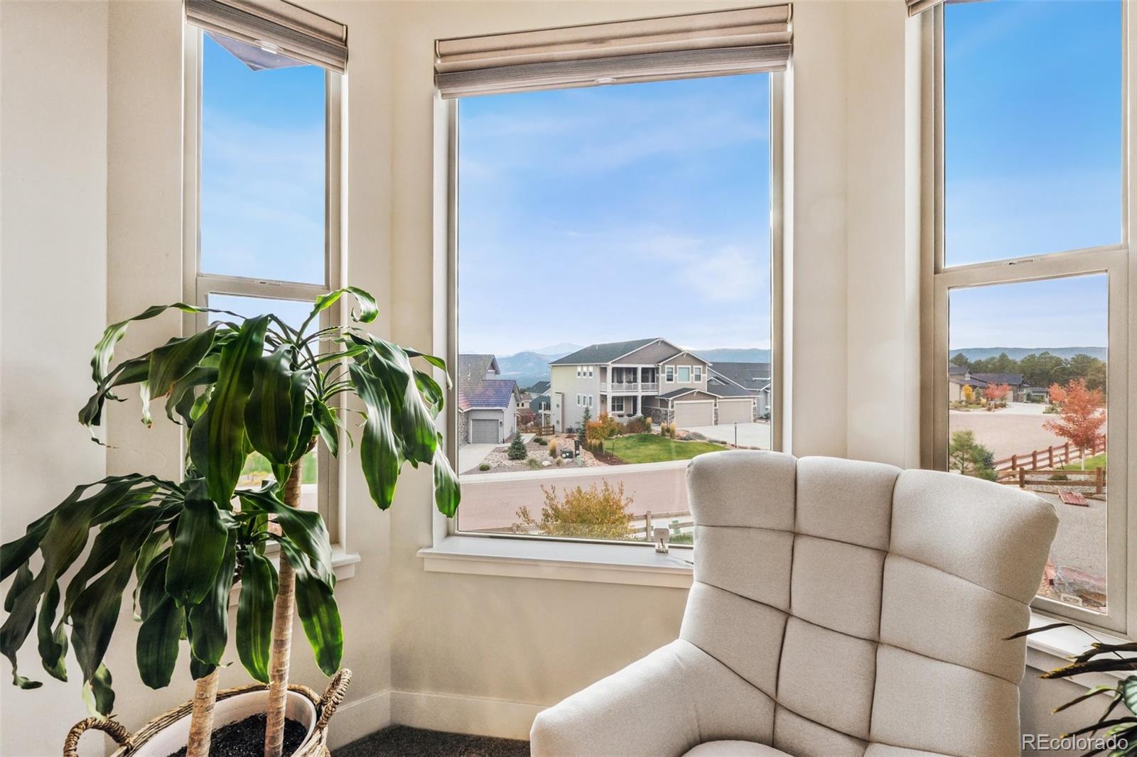 MLS Image #20 for 16320  sunset peak lane,monument, Colorado