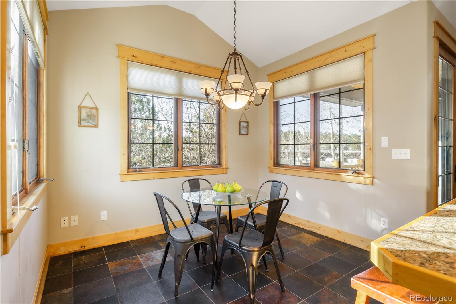 MLS Image #16 for 31276  stone canyon road,evergreen, Colorado