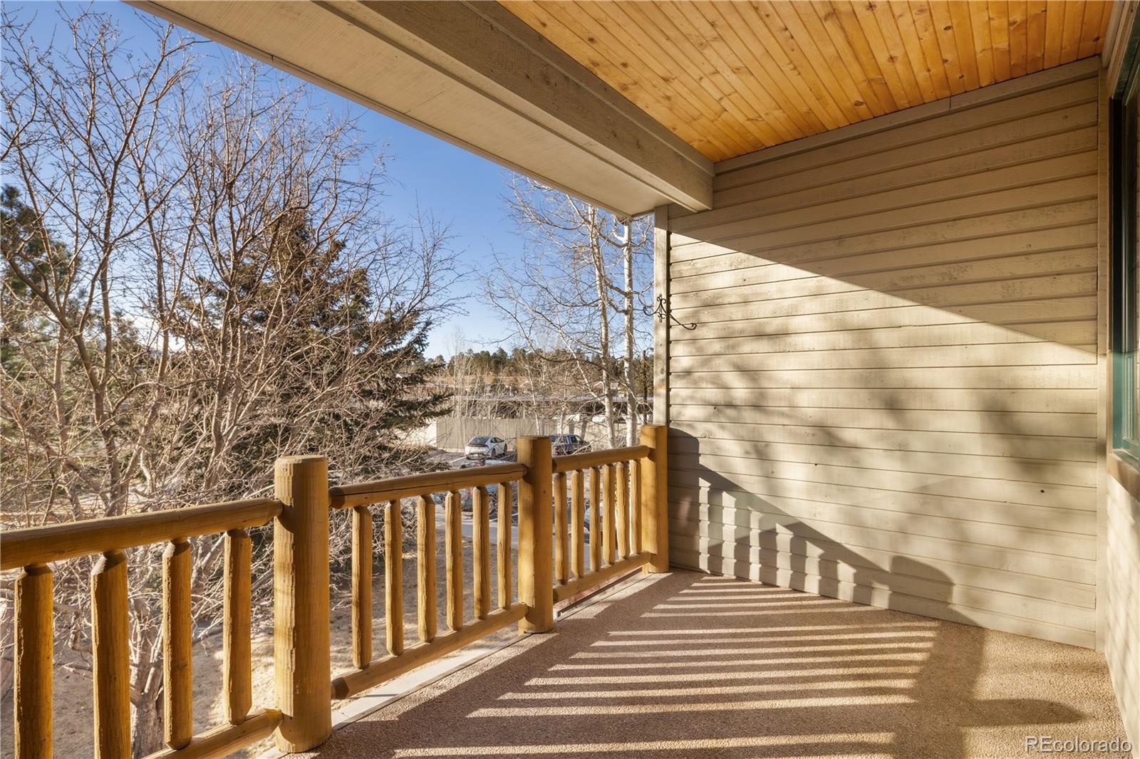 MLS Image #18 for 31276  stone canyon road,evergreen, Colorado