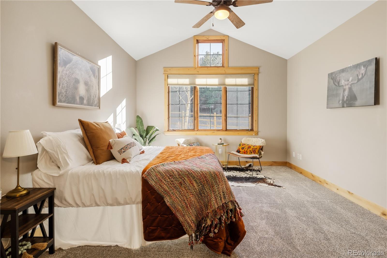 MLS Image #21 for 31276  stone canyon road,evergreen, Colorado