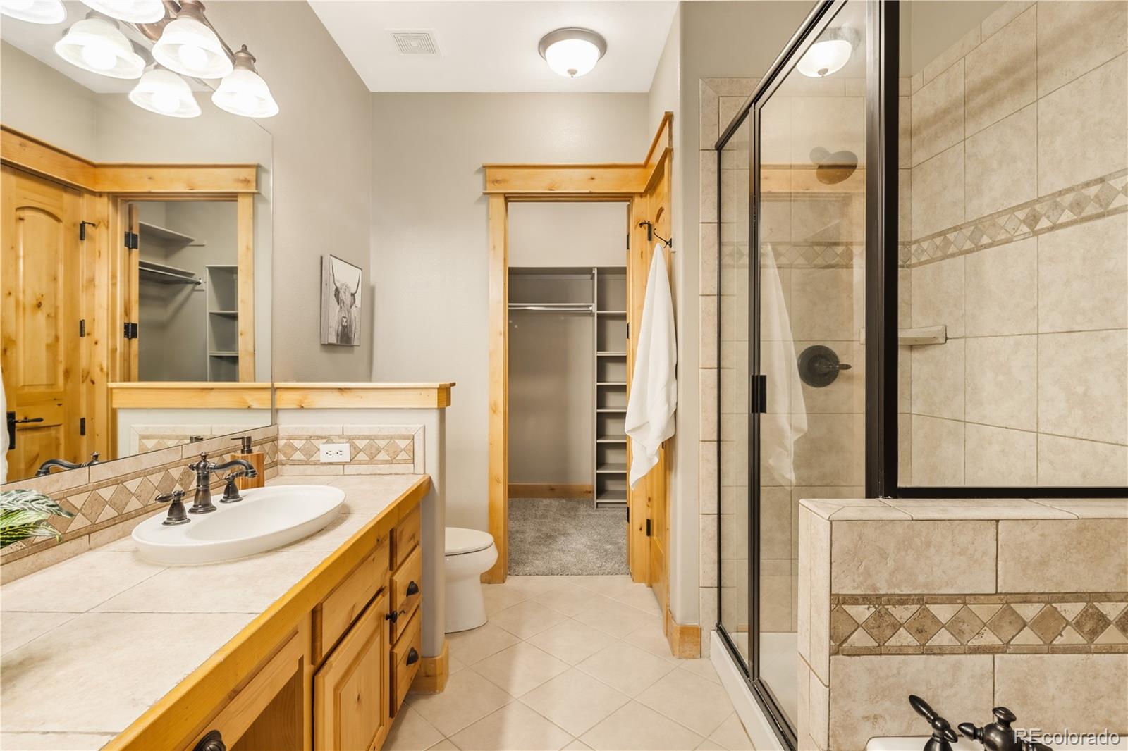 MLS Image #27 for 31276  stone canyon road,evergreen, Colorado